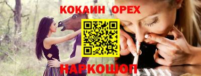 крисы Кулебаки