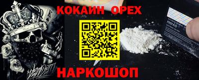 крисы Кулебаки