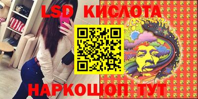 крисы Кулебаки