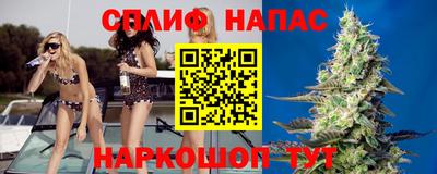 крисы Кулебаки