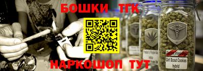 крисы Кулебаки