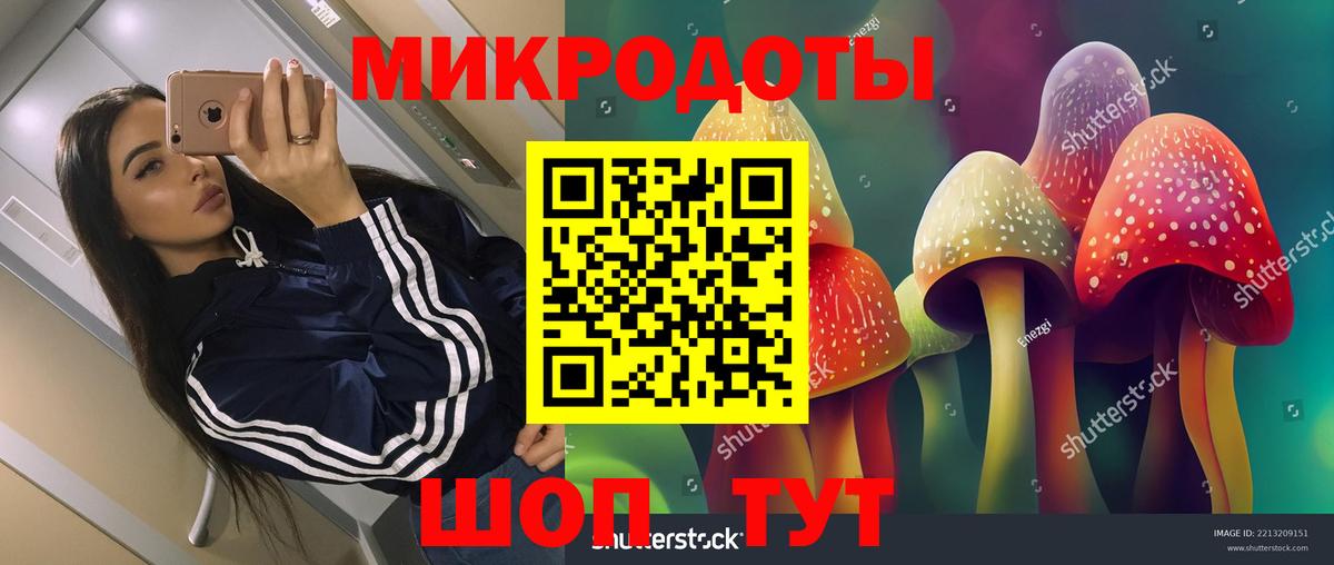 Троицк  Псилоцибиновые грибы прущие грибы  Вход с VPN 